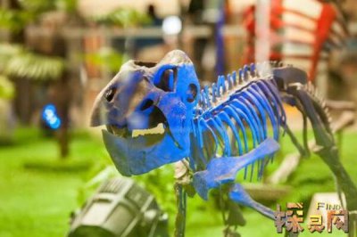 美國發(fā)現(xiàn)了一只活恐龍，卻只是人假扮的(烏龍事件)