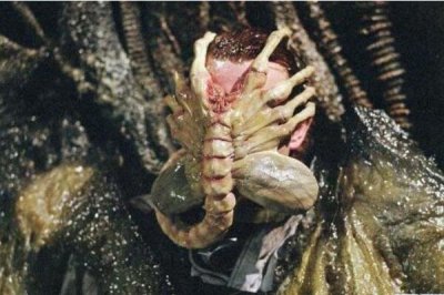 抱臉蟲真的在現實生活中存在嗎，寄生高等動物身上抱住臉