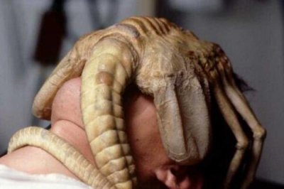 抱臉蟲真的在現實生活中存在嗎，寄生高等動物身上抱住臉