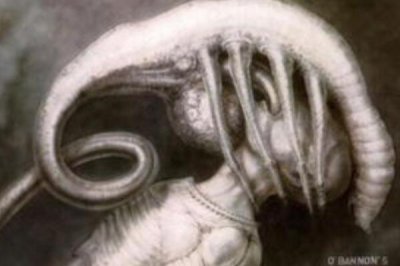 抱臉蟲真的在現實生活中存在嗎，寄生高等動物身上抱住臉