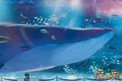 比藍鯨大一億倍的生物，至少得有30億米的長度（不存在）