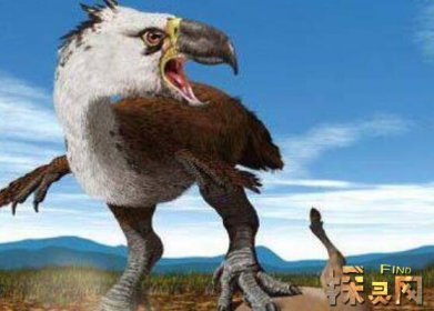 盤點十大最恐怖的鳥，泰坦鳥體高2.5米體重800斤(獵殺之王)