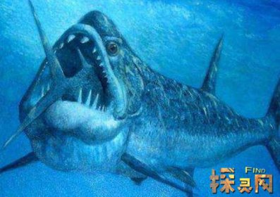 已滅絕的十大鯊魚有哪些,巨齒鯊是頂級掠食者(1500-260萬年前)