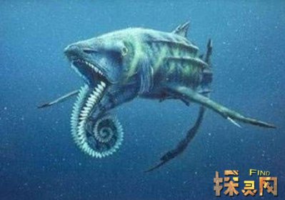已滅絕的十大鯊魚有哪些,巨齒鯊是頂級掠食者(1500-260萬年前)