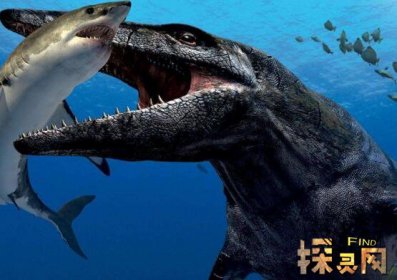 幸好這些動(dòng)物滅絕了，滄龍?jiān)诤Ｑ笾袥]有對(duì)手(頂級(jí)兇猛)