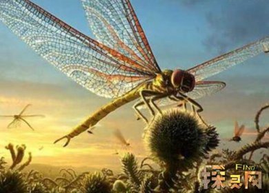 幸好這些動(dòng)物滅絕了，滄龍?jiān)诤Ｑ笾袥]有對(duì)手(頂級(jí)兇猛)