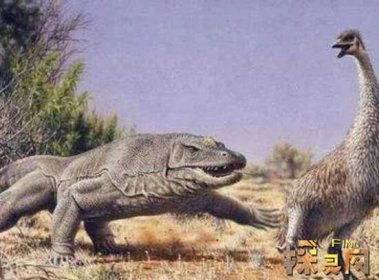 幸好這些動(dòng)物滅絕了，滄龍?jiān)诤Ｑ笾袥]有對(duì)手(頂級(jí)兇猛)