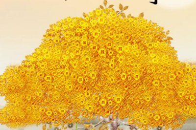 十大吉祥之樹，大家最想種植的應該是搖錢樹(非常好養)