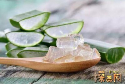 蘆薈可以直接涂在臉上嗎，引起皮膚炎癥過敏(不可以)