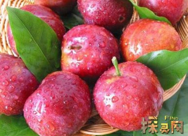 十大低糖水果排行榜,檸檬是低糖水果之王(糖分最低)