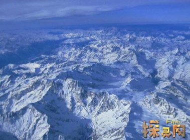 末次冰期對世界影響,導致全球氣溫降低(喜暖動植物滅絕)