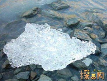 末次冰期對世界影響,導致全球氣溫降低(喜暖動植物滅絕)