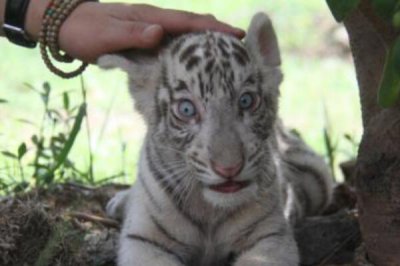 視覺圖片盯十秒笑死人，笑死人不至于但會讓你懷疑人生(不能看太久)