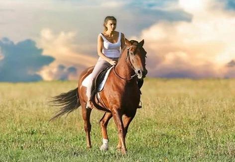 女人最命苦的三種生肖，屬牛羊馬的女人一生都是勞碌命