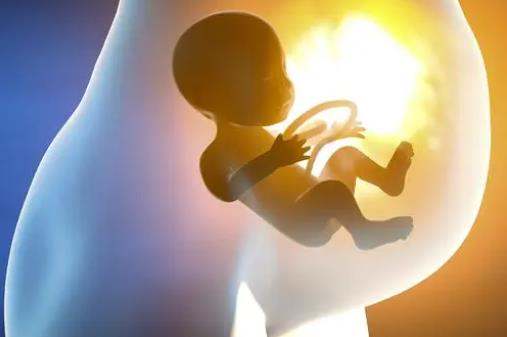 小孩怎么投胎選父母的，靈魂會隨機尋找適合自己寄生的肉體