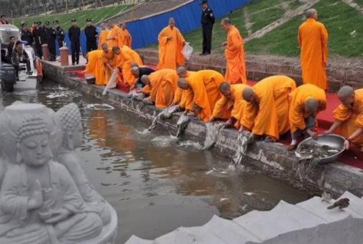 放生的功德和福報(化解業障,超度債主)