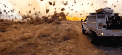 風滾草是什么菜，在中國民間又被稱之為豬毛菜