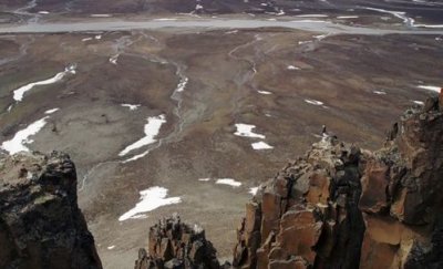 藤壺鵝為什么讓孩子跳崖?以求生命的再度延續