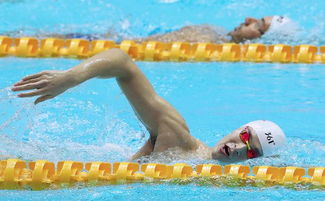 孫楊事件終身禁賽是什么原因