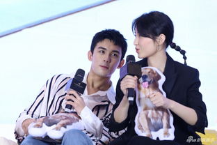 吳磊張子楓演的電影叫什么名字？