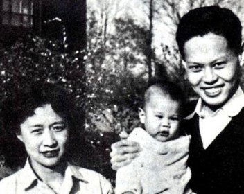 杜聿明的女婿是楊振林嗎