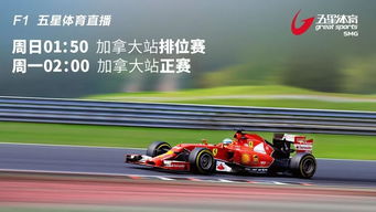 f1排位賽和正賽有什么區別