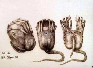 抱臉蟲是怎么如何出來的