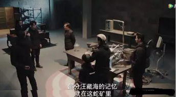 汪藏海的記憶到底是什么