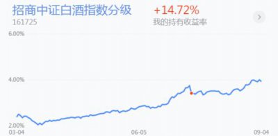 招商中證白酒為什么一直在跌