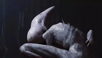 抱臉蟲是什么電影里的