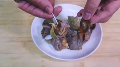 海螺怎么煮才能嫩而不老