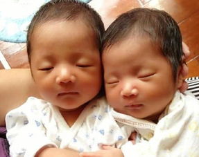 謝娜生了幾個寶寶