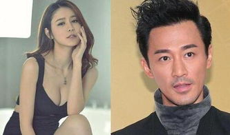 林峰妻子張馨月個人資料及簡介家世