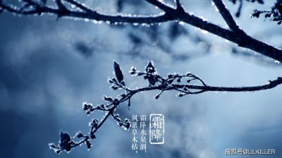 今期生肖找桃花，九宮八卦定中數是什么生肖(打一生肖動物)正式曝出