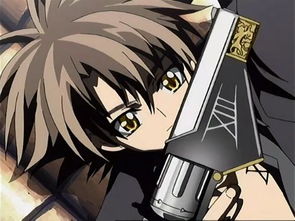 撿到穿越而來的美男短尾黑貓小說