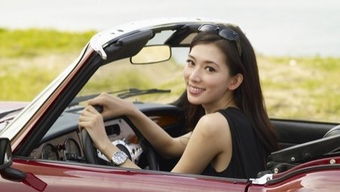 仙家弟子做夢開車