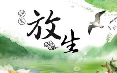 放生鳥有什么功德