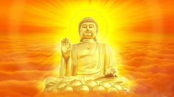 半佛仙人說的牛老師是誰