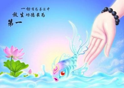 放生是什么時間最好