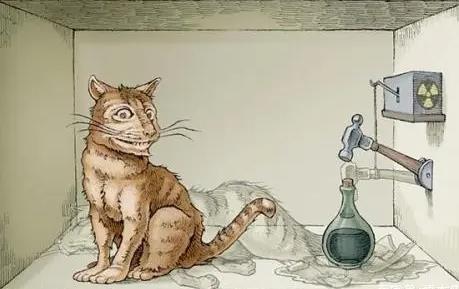 薛定諤的貓是什么意思，用談戀愛來比喻最通俗易懂