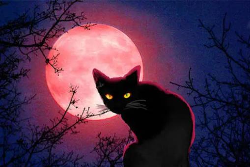 血月出現意味著什么，妖魔出動天下大亂（實為正常天象）