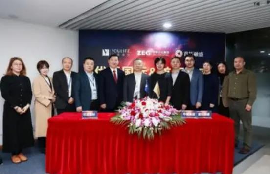 中植系背后的靠山是誰，背靠神秘且又實力雄厚的金錢帝國