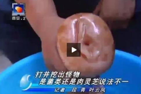 太歲女記者什么梗，錯把飛機杯當寶貝.目瞪口呆