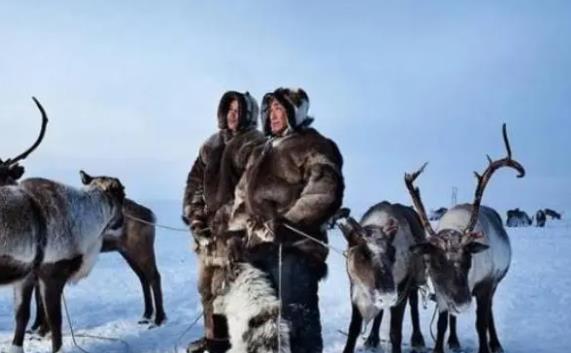 因紐特人還存在嗎，仍然有13萬人分布在北極圈內外