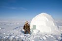 因紐特人為什么不離開北極，習慣了祖輩生活的地方