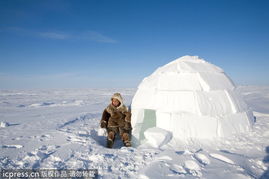因紐特人為什么不離開北極,習慣了祖輩生活的地方