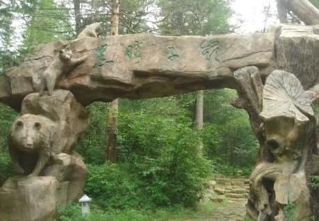 狗熊嶺真的存在嗎,僅存在于童話世界中的東北地區