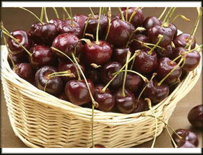 車厘子為什么賣得那么貴，運輸成本高.外加損耗較大