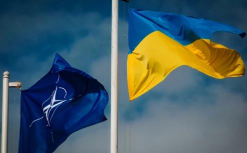 北約有哪些國家組成，由30個成員國的軍隊所組成