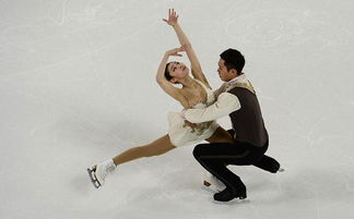 金楊于小雨是情侶嗎